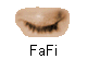  FaFi 